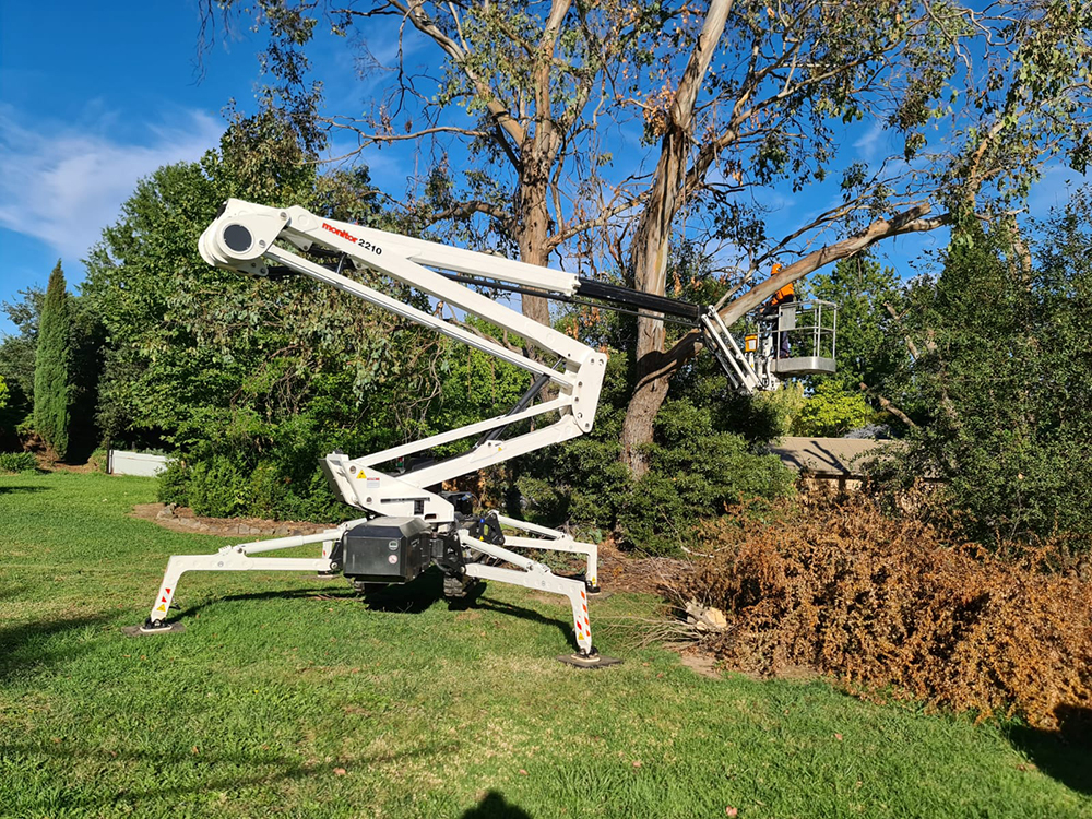 Are spider lifts safer than climbing for arborists?